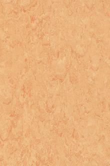 Linoleumboden TERRACOTTA natur - trade by Korkmanufaktur