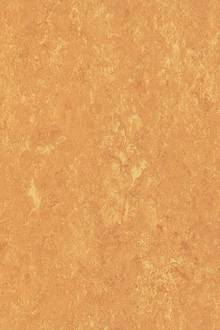 Linoleumboden TERRACOTTA - trade by Korkmanufaktur